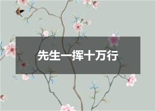 先生一挥十万行