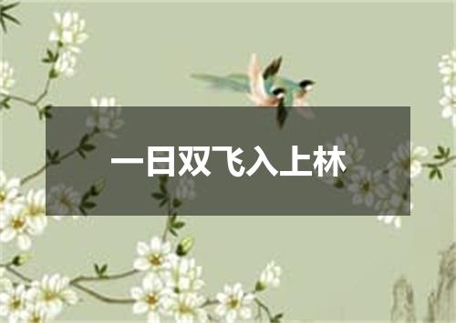 一日双飞入上林