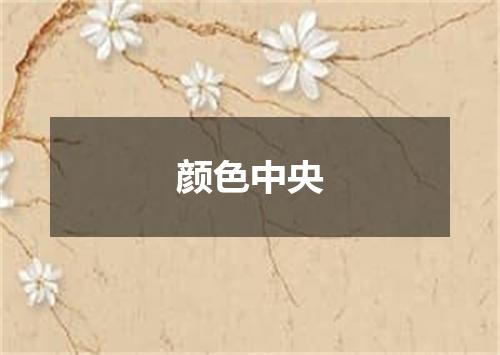 颜色中央