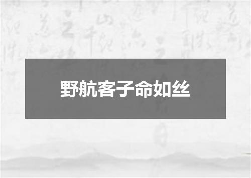 野航客子命如丝