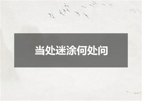 当处迷涂何处问