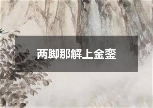 两脚那解上金銮