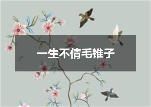 一生不倩毛锥子