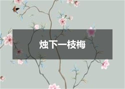 烛下一枝梅