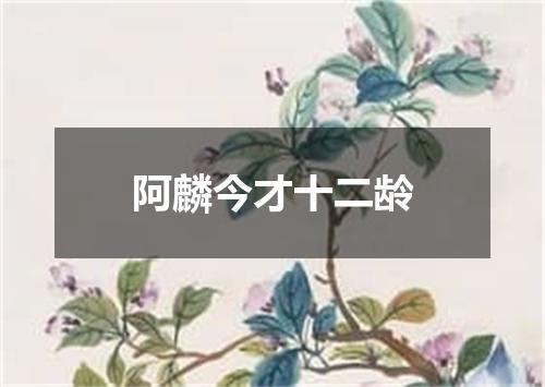 阿麟今才十二龄