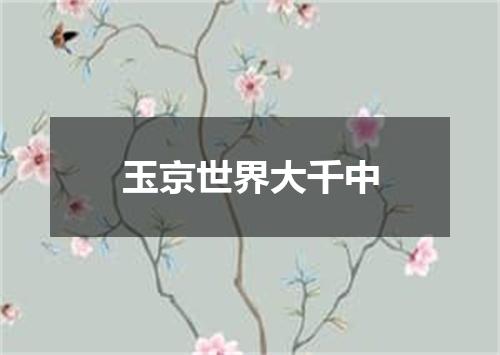 玉京世界大千中