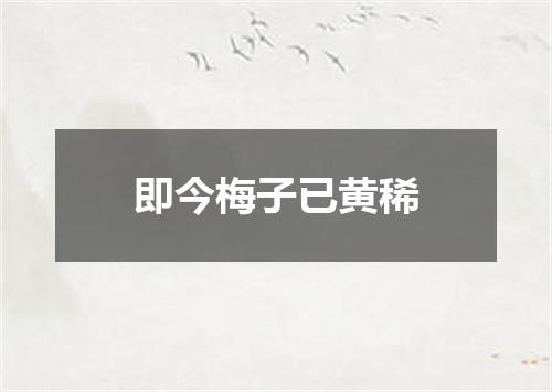 即今梅子已黄稀