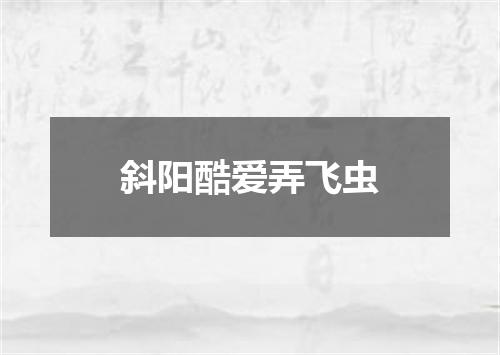 斜阳酷爱弄飞虫