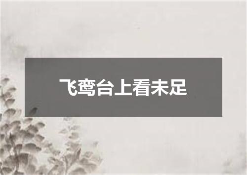飞鸾台上看未足