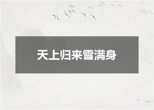 天上归来雪满身