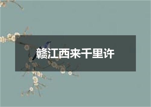赣江西来千里许