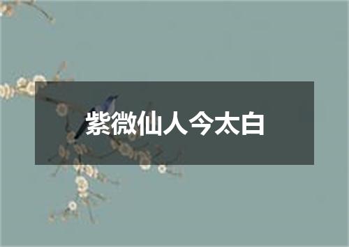 紫微仙人今太白
