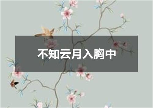 不知云月入胸中