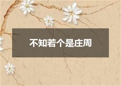 不知若个是庄周