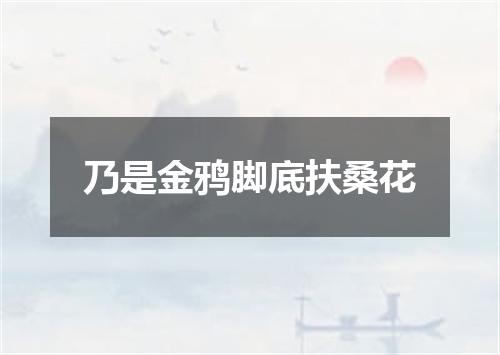 乃是金鸦脚底扶桑花