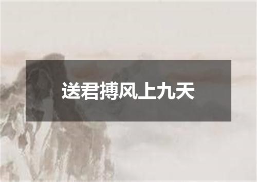 送君搏风上九天