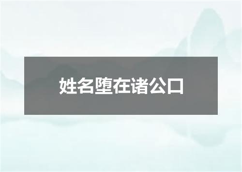 姓名堕在诸公口