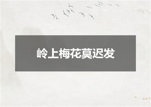 岭上梅花莫迟发