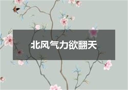 北风气力欲翻天