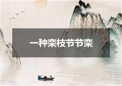 一种栾枝节节栾