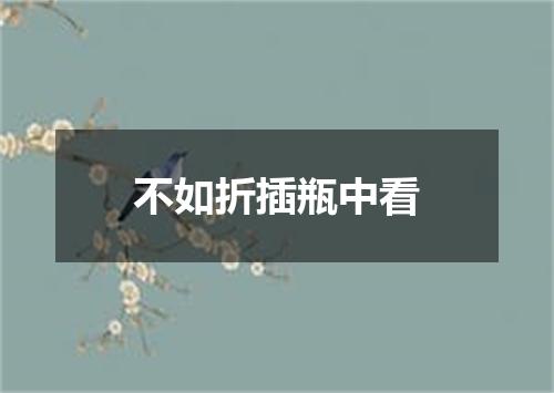 不如折插瓶中看