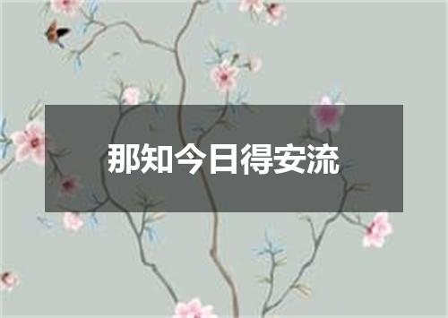 那知今日得安流
