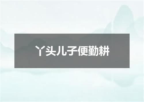丫头儿子便勤耕