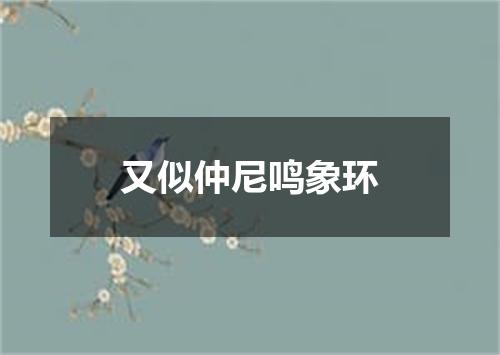 又似仲尼鸣象环
