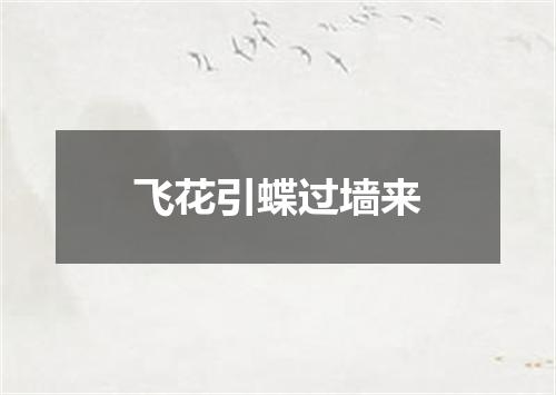飞花引蝶过墙来