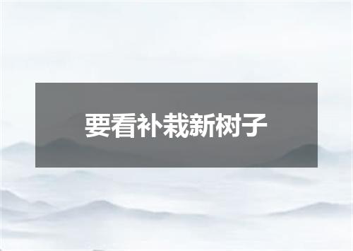 要看补栽新树子