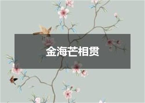金海芒相贯