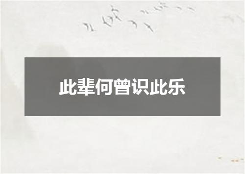 此辈何曾识此乐