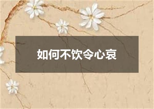 如何不饮令心哀