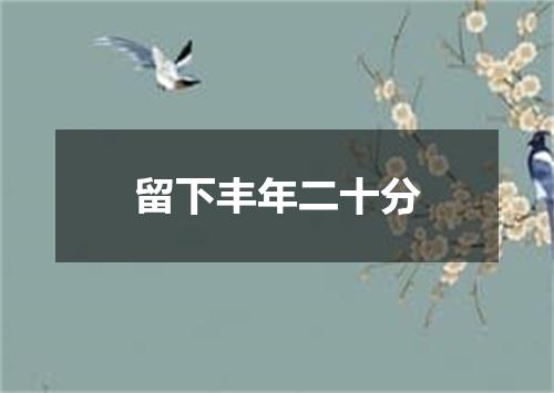 留下丰年二十分