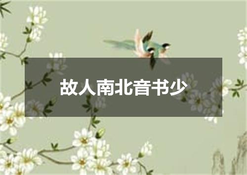 故人南北音书少