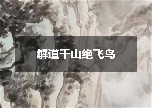 解道千山绝飞鸟