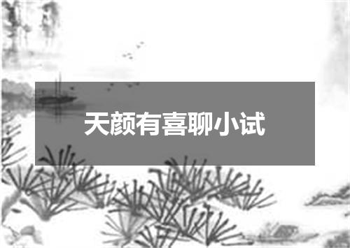天颜有喜聊小试