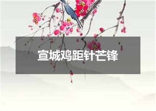 宣城鸡距针芒锋