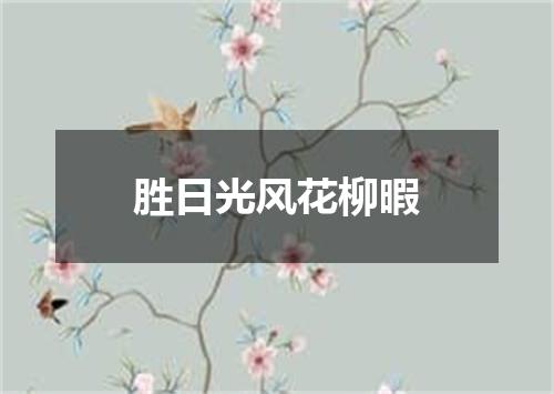 胜日光风花柳暇