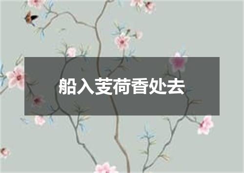 船入芰荷香处去