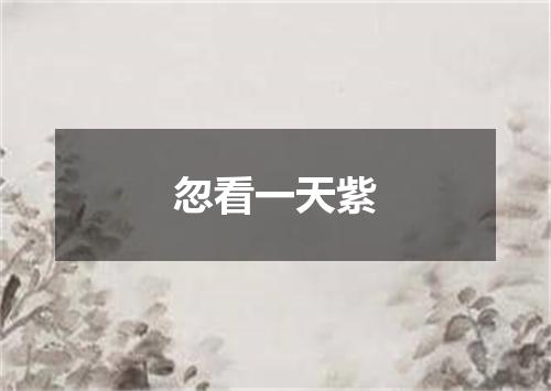 忽看一天紫