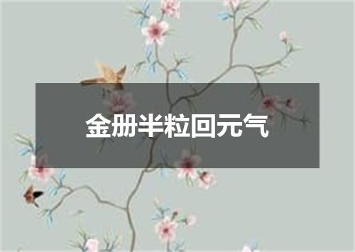 金册半粒回元气