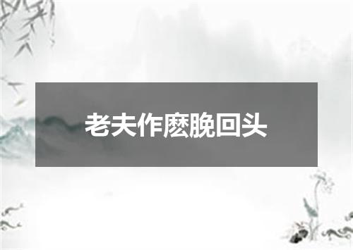 老夫作麽脕回头