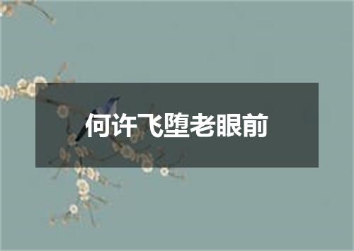 何许飞堕老眼前