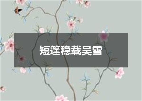 短篷稳载吴雪