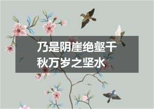 乃是阴崖绝壑千秋万岁之坚水