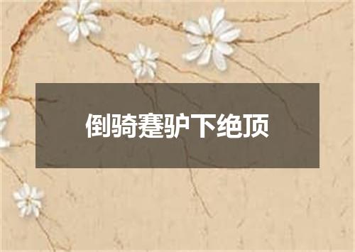 倒骑蹇驴下绝顶