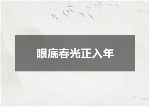 眼底春光正入年