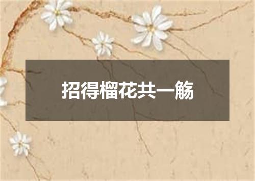 招得榴花共一觞