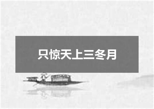 只惊天上三冬月